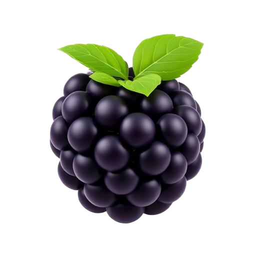 Blackberry