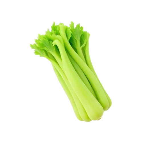 Celery