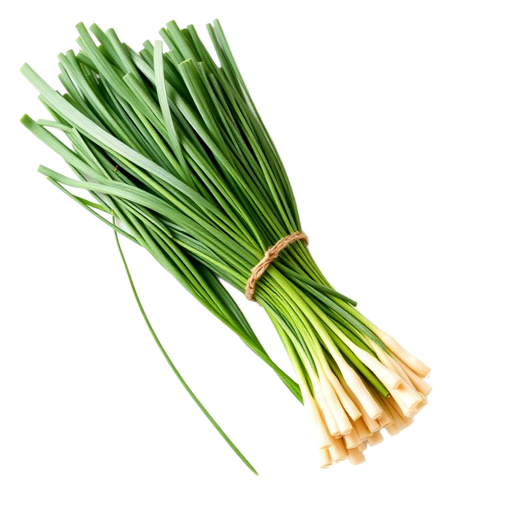 Chives