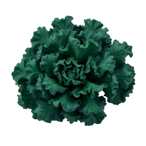 Kale