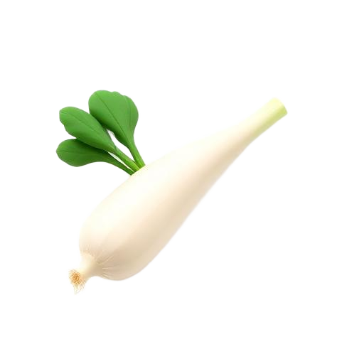 Leek