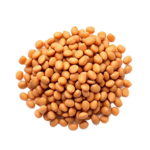 Lentils