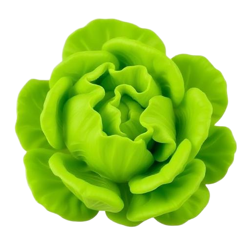 Lettuce