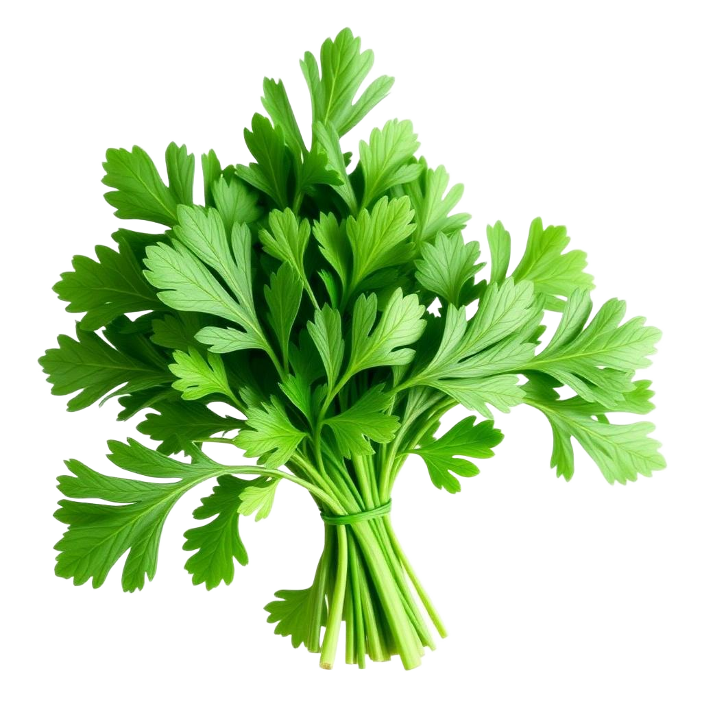 Parsley