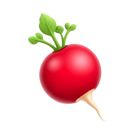 Radish
