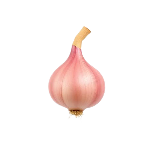 Shallot