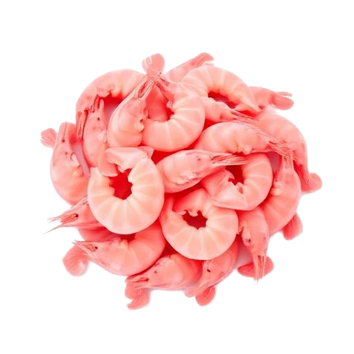 Shrimp